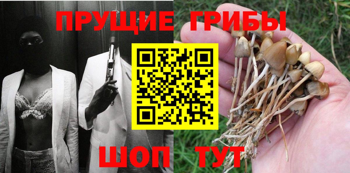 Ярославль  Галлюциногенные грибы Psilocybe  где найти   Вход с VPN 